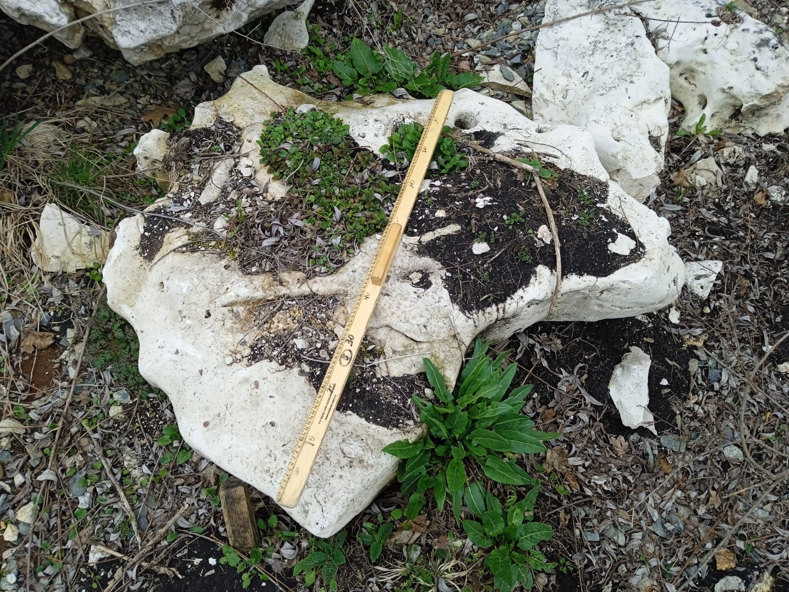  Выветренный известняк (степной) фр. 500-1500 мм.  купить в Сочи    8 500 руб/т   фото 