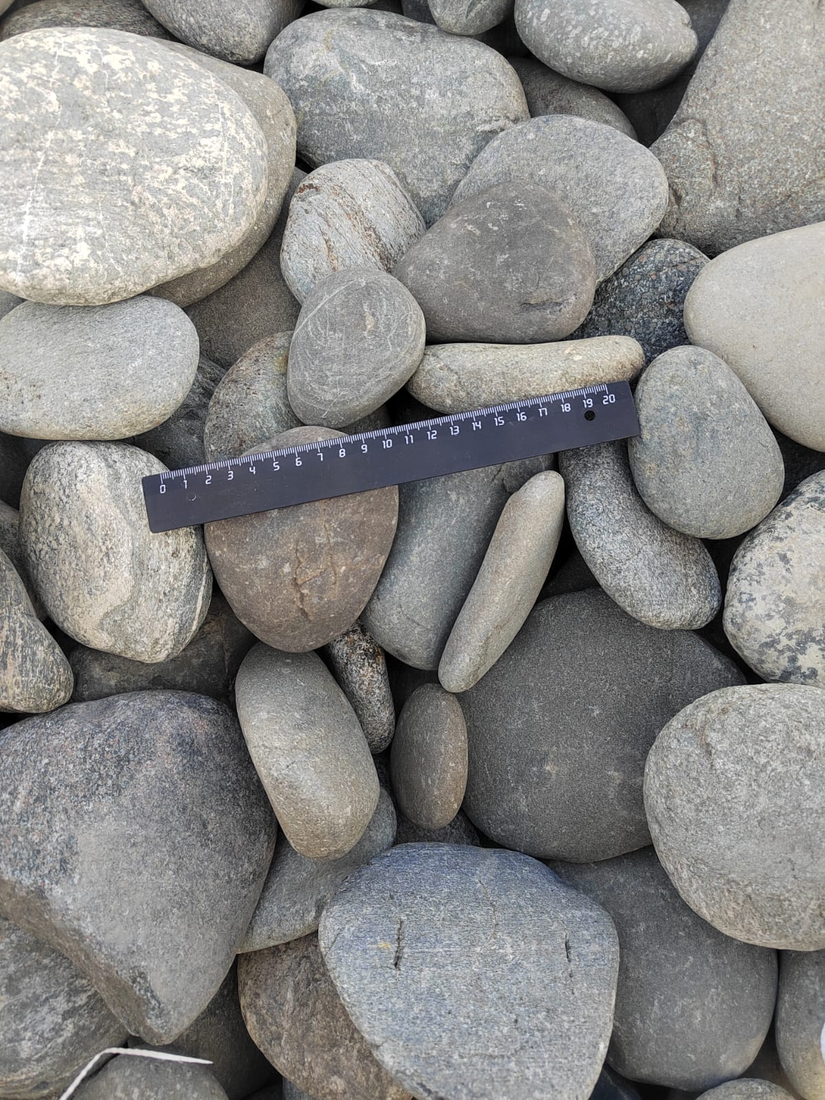 Kamenclub.ru: Галька речная плоская (ассорти) фр. 70-150 мм. купить   в  Сочигалька галечник серый белый темно-серый синий светло-серый плоская природная галька  6200 руб/т   фото КАМЕНЬ КЛУБ