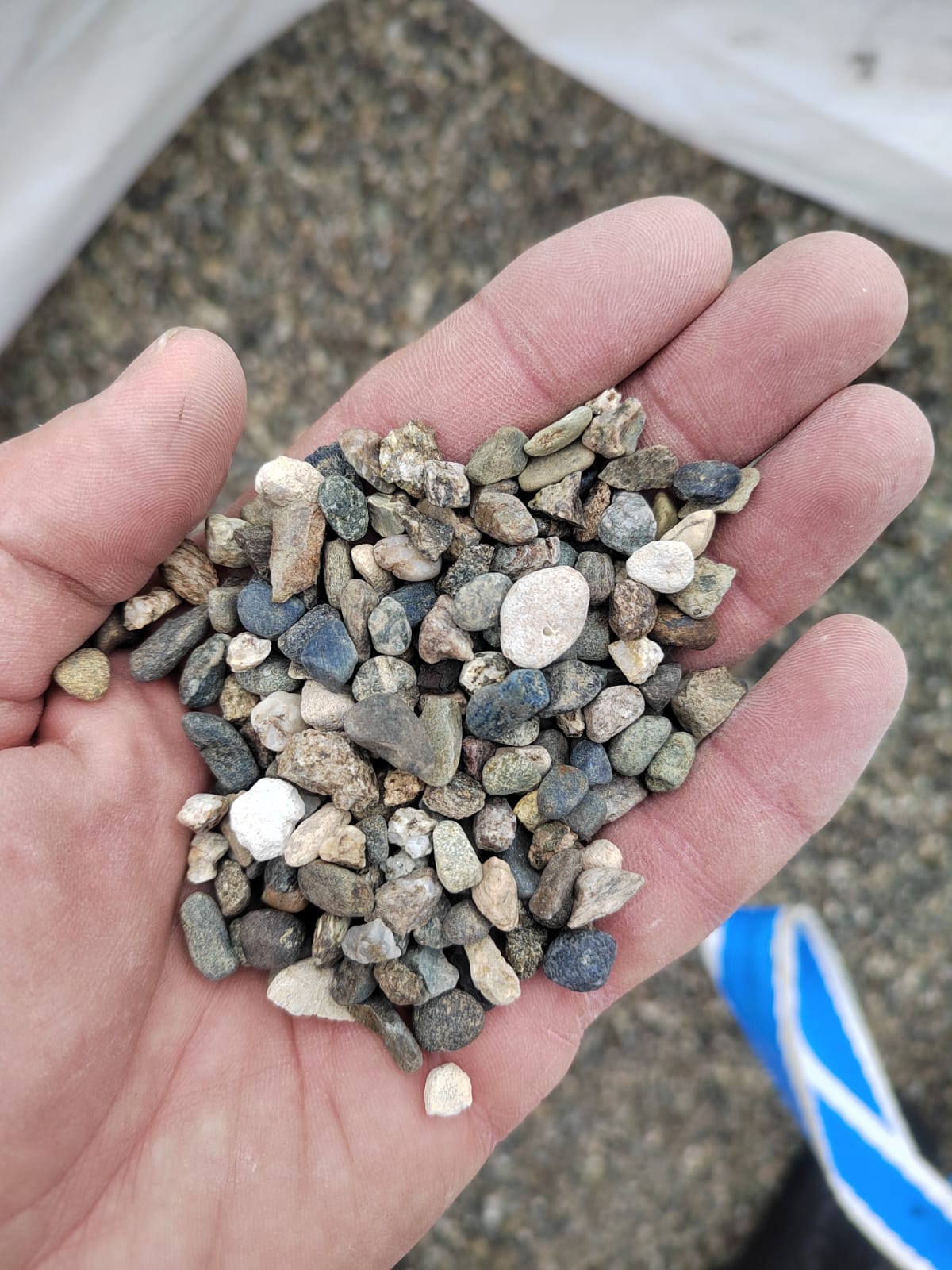  Галька речная окат (серая) фр.5-10 мм купить   в Сочи галька речная серая, серый, темно-серый, светло-серый, коричневый речная окатанная галька декоративная ландшатфная 4000 руб/т   фото 