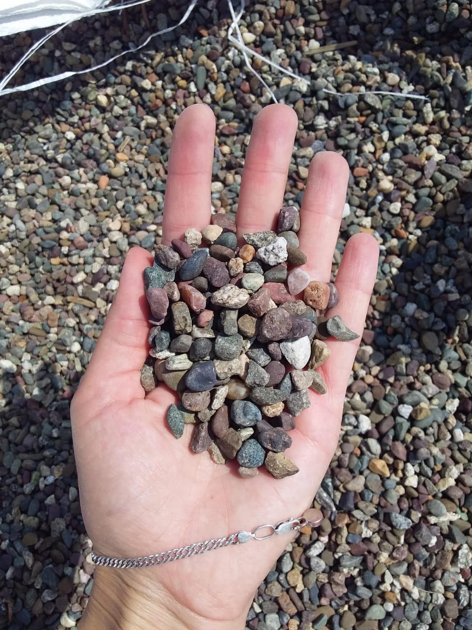  Галька речная окат цветная фр.5-10 мм. купить   в Сочи галька речная белый, серый, красноватый, синий, темно-серый речная окатанная галька декоративная 5000 руб/т   фото 