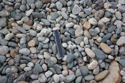  Галька речная окат (пестрая) фр. 20-40 мм. купить   в Сочи галька речная пестрая, серая, серые оттенки галька речная окатанная округлая 4000 руб/т   фото 