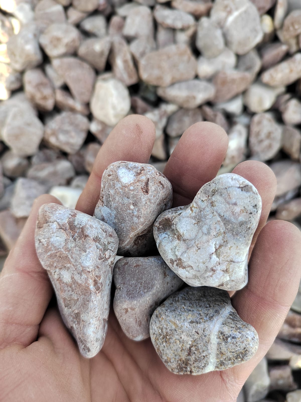  Розовая галька (щебень галтованный розовый) фр.20-40 мм.  купить  в Сочи мрамор розовый, красный оголтованный округлый щебень  13500 руб/т   фото 