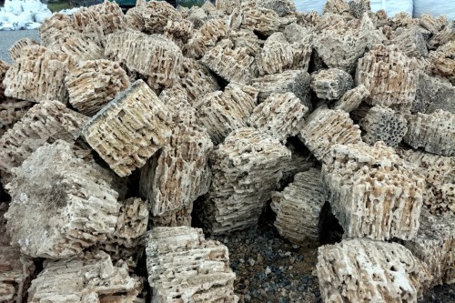  Крымский природный меотис фр. 100-500 мм.  купить в Сочи меотис бежевый рыжий молочный желтый ракушечник 4 500 руб/т   фото 