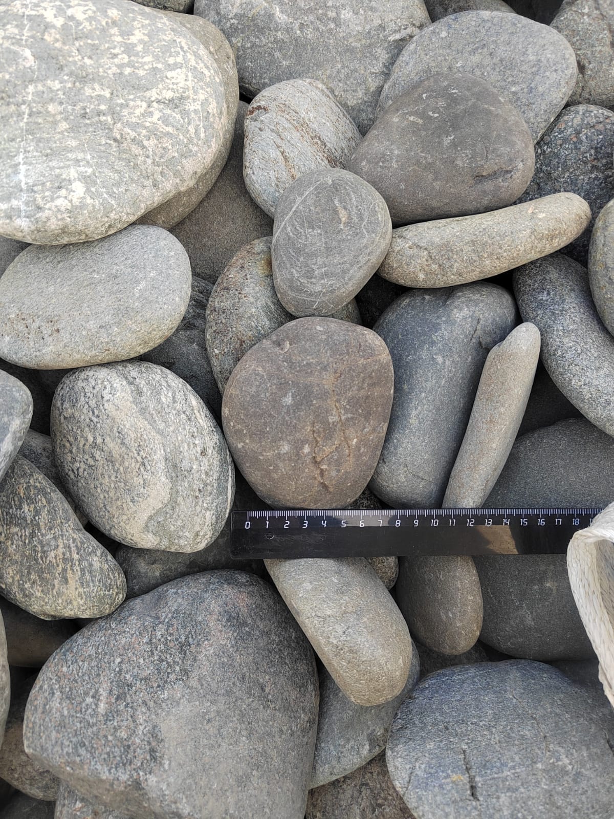 Kamenclub.ru: Галька речная плоская (ассорти) фр. 70-150 мм. купить   в  Сочигалька галечник серый белый темно-серый синий светло-серый плоская природная галька  6200 руб/т   фото КАМЕНЬ КЛУБ