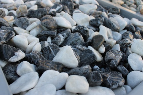  Микс шахматной гальки  (щебень галтованный микс:: белый-черный) фр.20-40 мм  купить  в Сочи мрамор белый, черный мраморный галтованный щебень 14500 руб/т   фото 