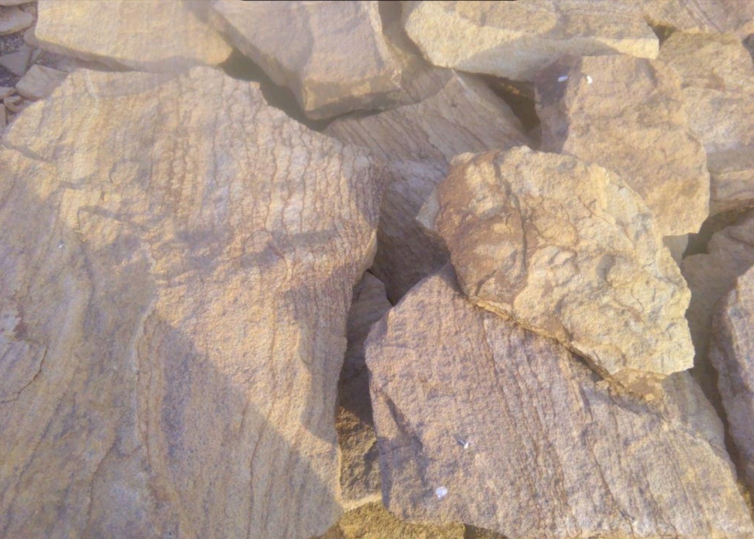 Песчаник пластушка "фонтанка" желтая (3,0 - 5,0 см)  купить  в Сочи песчаник желтая, рыжий, желтый песчаник колотый рваный со сколом облицовочный 8 500 руб/м3   фото 